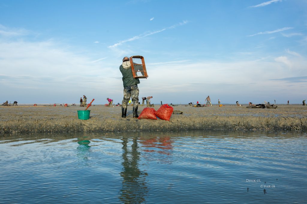 Pêche à pied