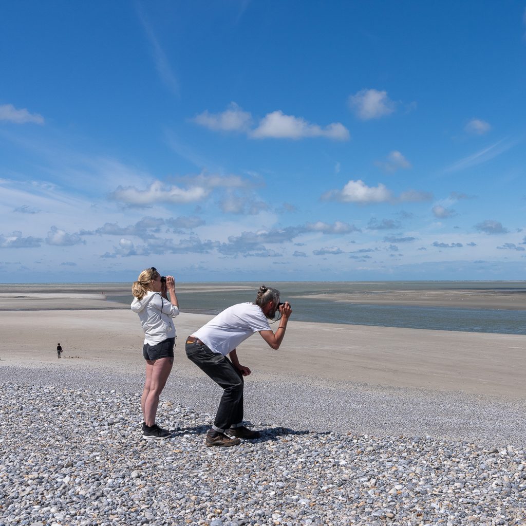 Sortie les côtes sableuses picardes