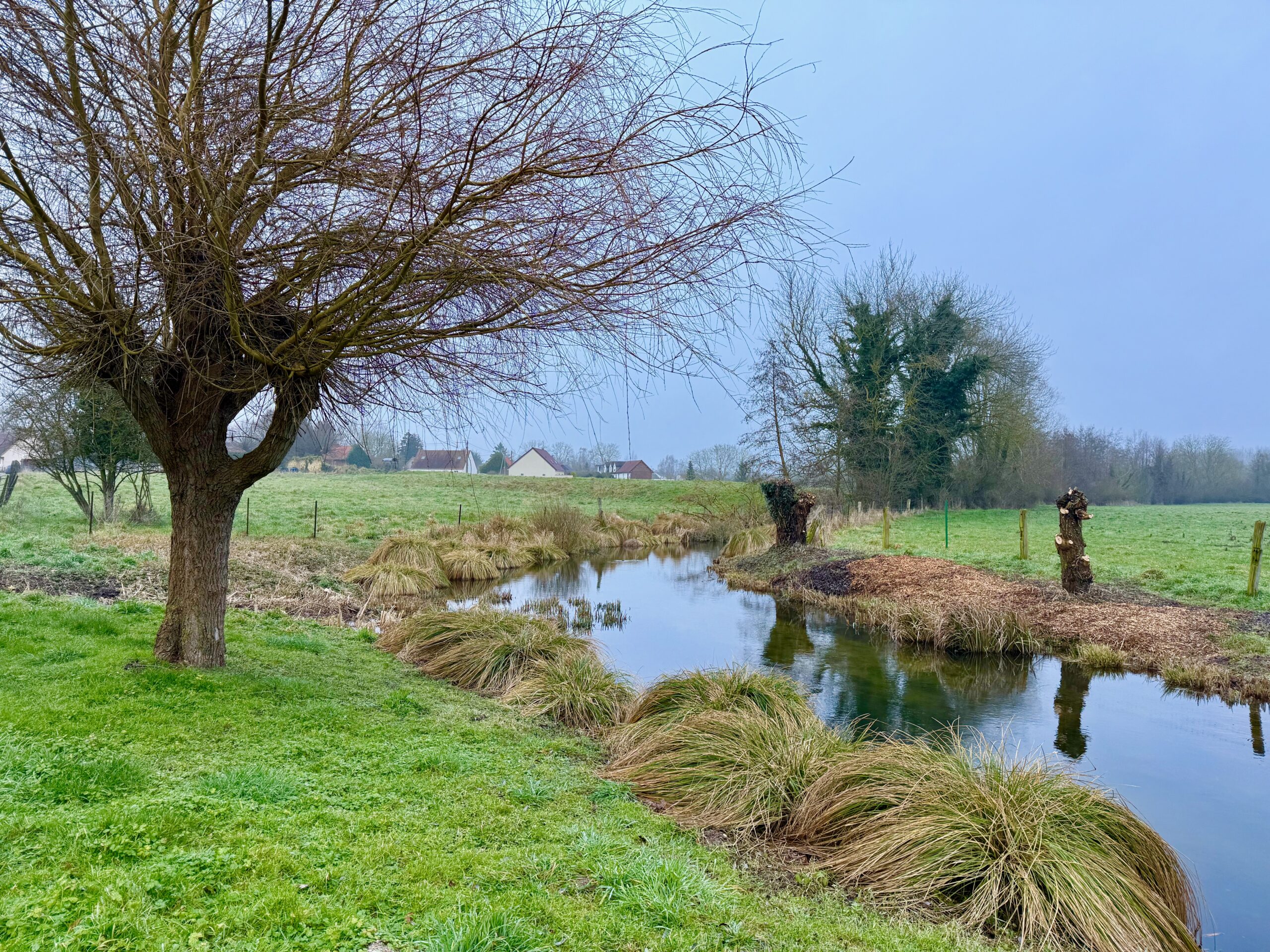 Observation sternes 2025